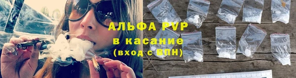 a pvp Богданович