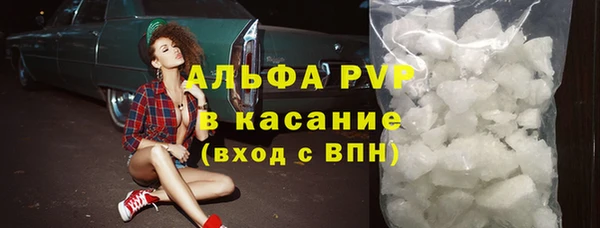 прущие грибы Кинешма