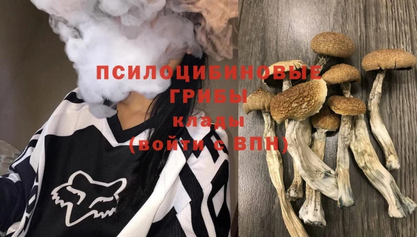 apvp Белокуриха
