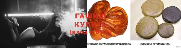 СК Богородск