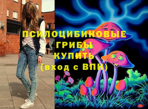 apvp Белокуриха