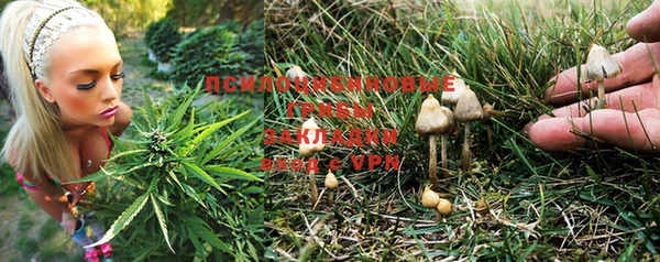 СК Богородск