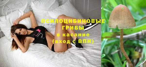 apvp Белокуриха