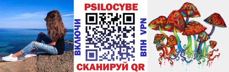 Псилоцибиновые грибы GOLDEN TEACHER Кашира